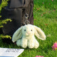 Apricot Lamb Cute Toys Plush Matcha Bunny Rabbit Stuffed Animal Soft Keychain For Kids Bag, Purse, Backpack, Handbag (Matcha Bunny，4.7 Inches)