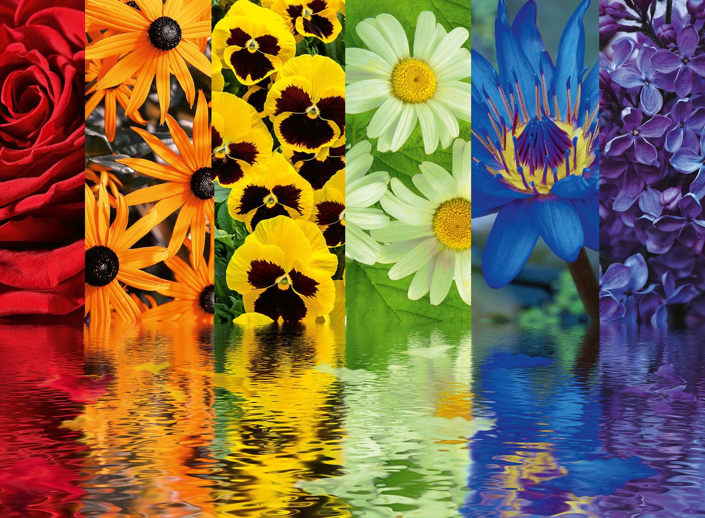 Ravensburger Floral Reflections 500 Piece Jigsaw Puzzle For Adults - 12000213 - Handcrafted Tooling, Made In Germany, Every Piece Fits Together Perfectly