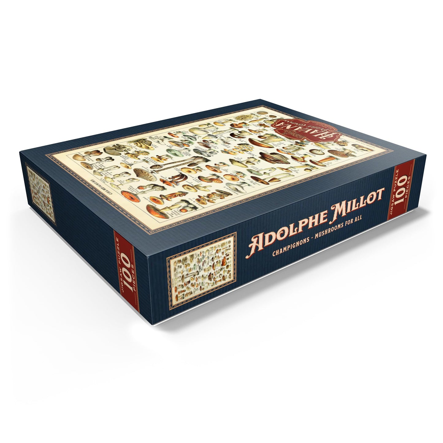 Mypuzzle Champignons - Mushrooms For All, Vintage Art Poster, Adolphe Millot - Premium 100 Piece Jigsaw Puzzle For Adults