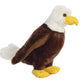 Aurora - Destination - 12' Eagle