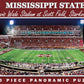 Mississippi State Panoramic