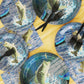 Zoiiwa 200 Pcs Gone Fishing Tableware Disposable Paper Plates Napkins Fishing Tournament Birthday Party Supplies Dinnerware Set Napkins Fishing Themed Party Decoration Serve 50 Guest