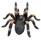 Mojo Red Kneed Tarantula Realistic International Wildlife Hand Painted Toy Figurine