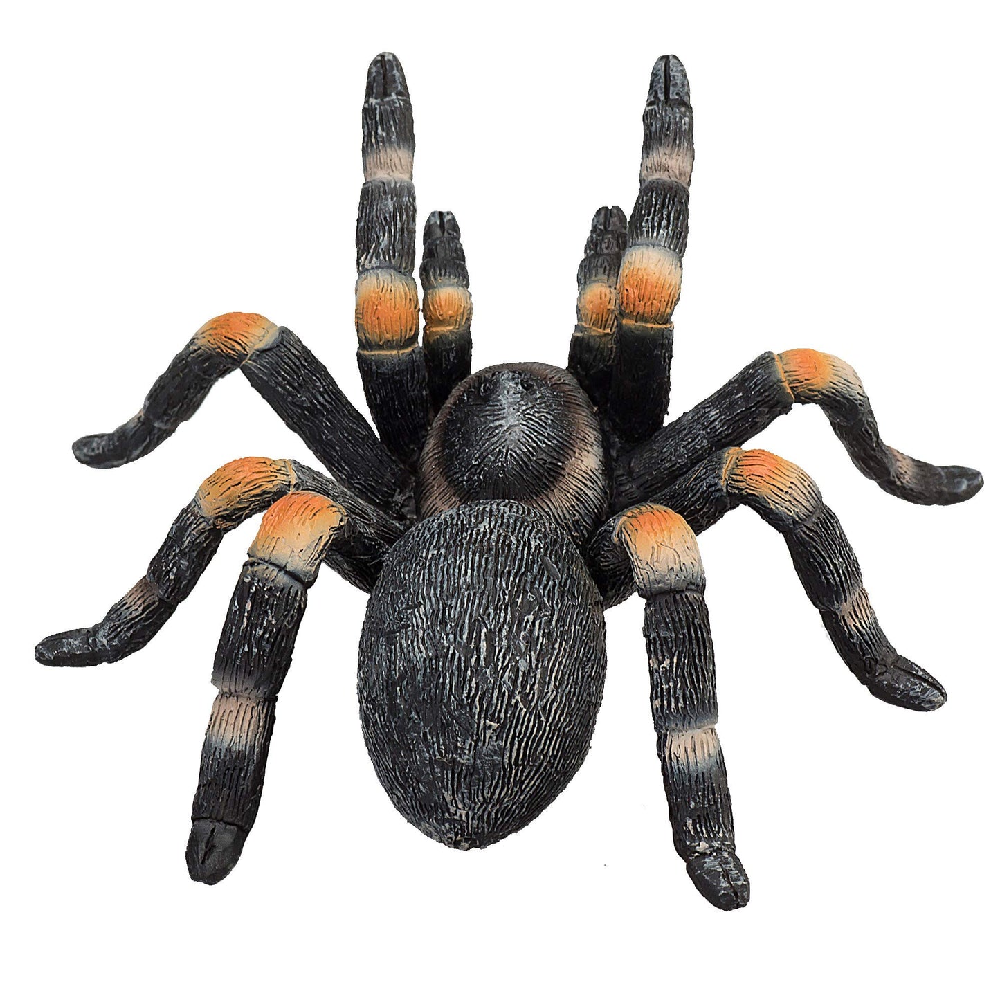 Mojo Red Kneed Tarantula Realistic International Wildlife Hand Painted Toy Figurine