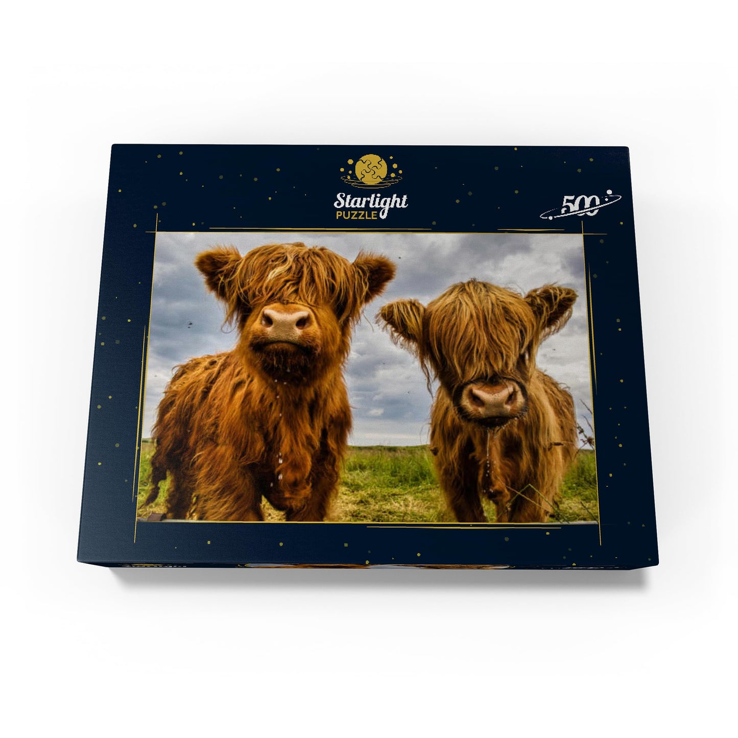 Mypuzzle Two Highland Cows - Premium 500 Piece Jigsaw Puzzle For Adults