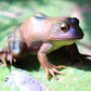 Gemini&Genius Tree Frog Figurine - Realistic Hand Painted Plastic Toy for Kids, Brown, Ideal for Backyard Decor and Educational Play, Ages 3+