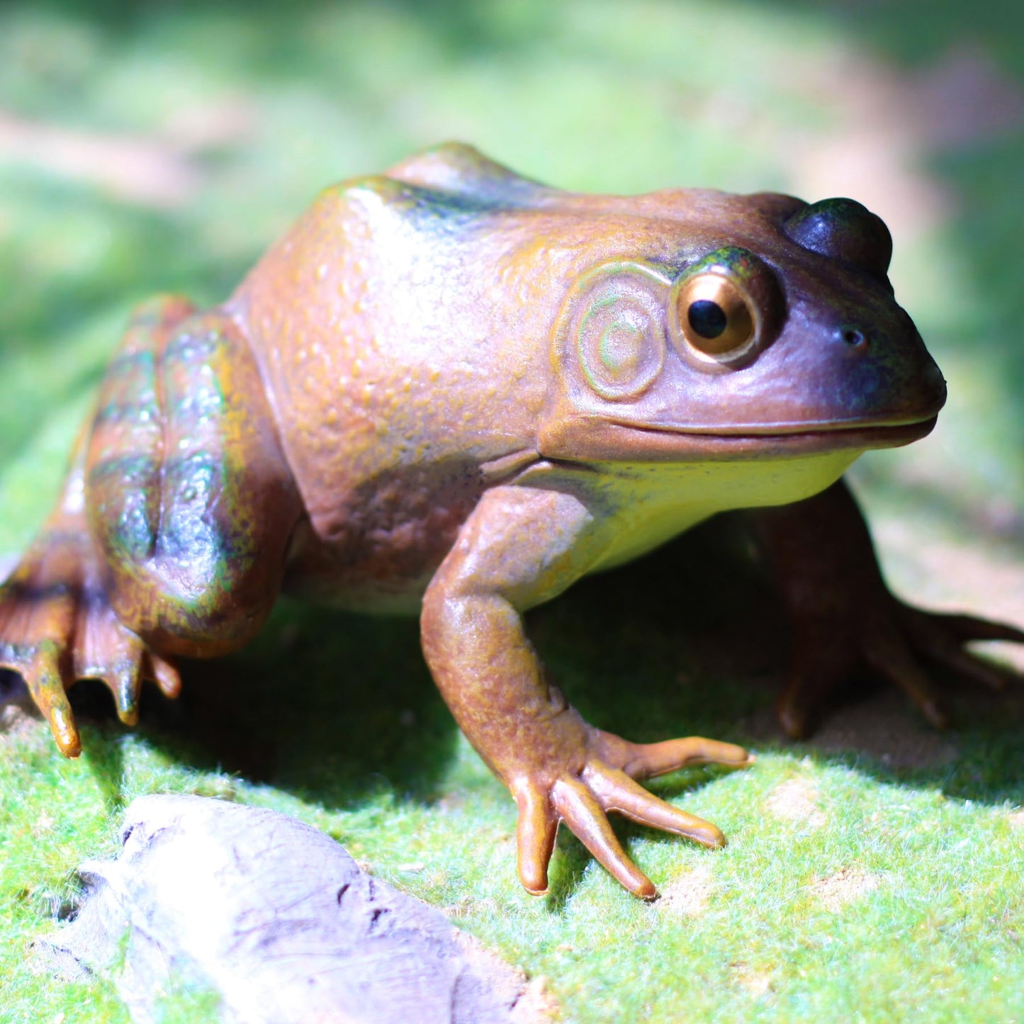 Gemini&Genius Tree Frog Figurine - Realistic Hand Painted Plastic Toy for Kids, Brown, Ideal for Backyard Decor and Educational Play, Ages 3+