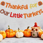 Thanksgiving Classroom Decorations, Turkey Fall Bulletin Board, Thanksgiving Decorations, Thankful For Our Little Turkeys Banner