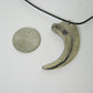 Mid-Land Scientific Sauronitholestes Dinosaur Claw Pendant Necklace (344-5)