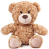 Benben Brown Teddy Bear Stuffed Animal, 12 Inch Cute Shaggy Stuffed Bear Plush Toy, Baby Shower Decoration, Valentines' Day Birt