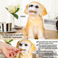 H&W Labrador Dog Coin Money Bank, Shatterproof Dog Piggy Bank, Creative Money Bank, Can Store 1000 Coins, Best Bitrthday Gift (Wk34-D2)