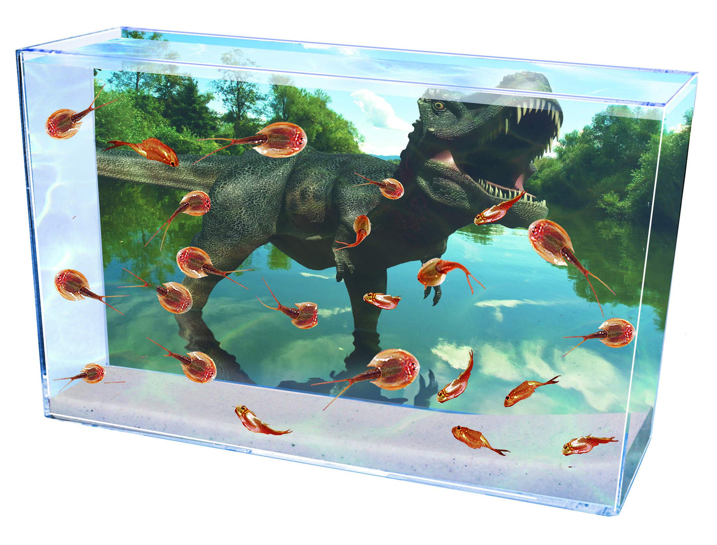 Smithsonian Prehistoric Sea Monsters 23x17 inches