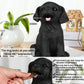 H&W Black Labrador Dog Coin Money Bank, Shatterproof Dog Piggy Bank, Creative Money Bank, Can Store 1000 Coins, Best Bitrthday Gift (Wk34-D3)
