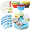 Jingmore 30 Sets Passover Seder Plate Craft Kits Include 30 Seder Paper Plates 300 Cupcake Trays 30 Food Cards 30 Seder Plate St