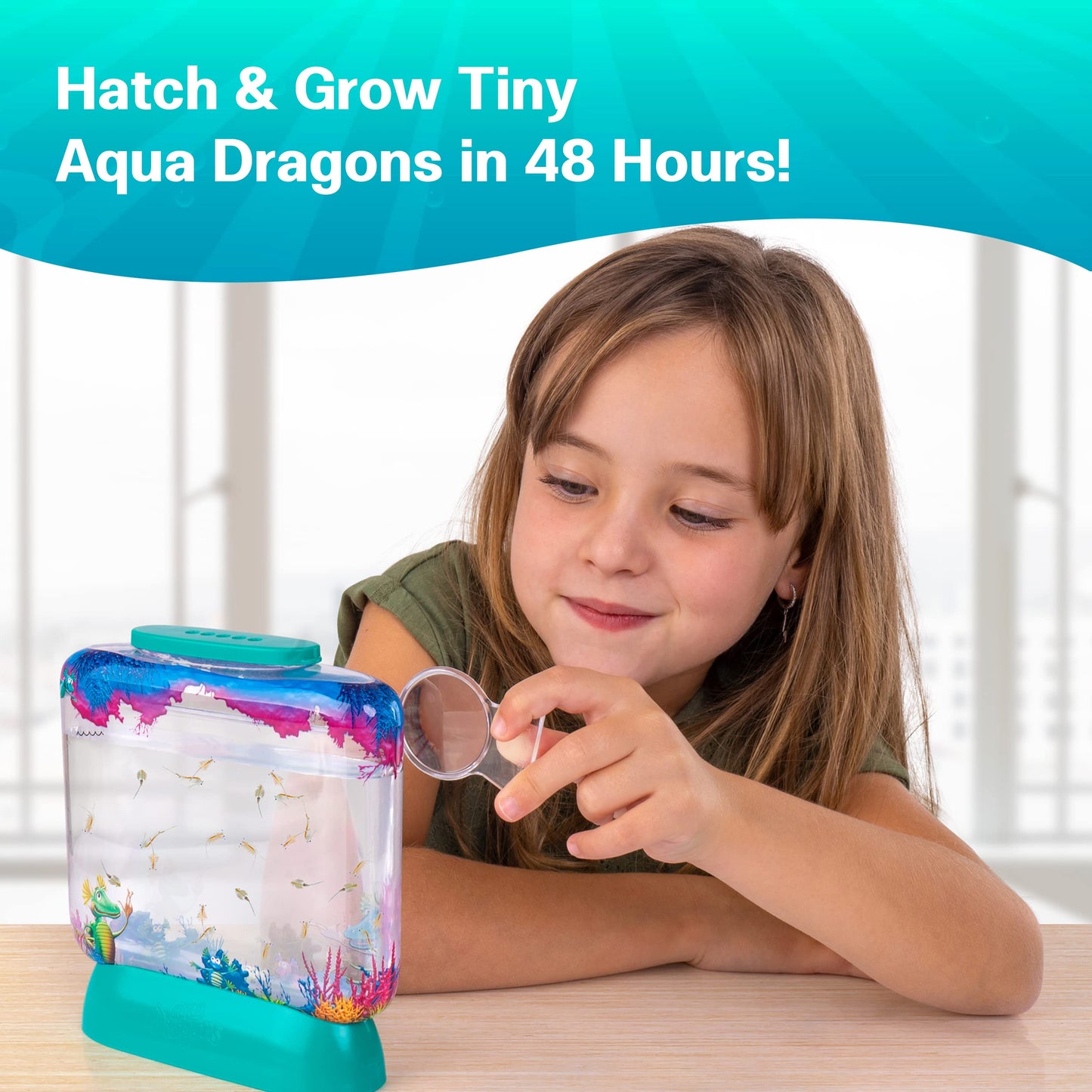 Aqua Dragons Eggs & Food Combo - Refill For Your Own Tank