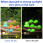 Lyreh 30Pcs Mini Resin Turtles, 3 Sizes Miniature Tiny Cute Figurines 10 Colors Glow In The Dark Micro Figures Small Resin Anima