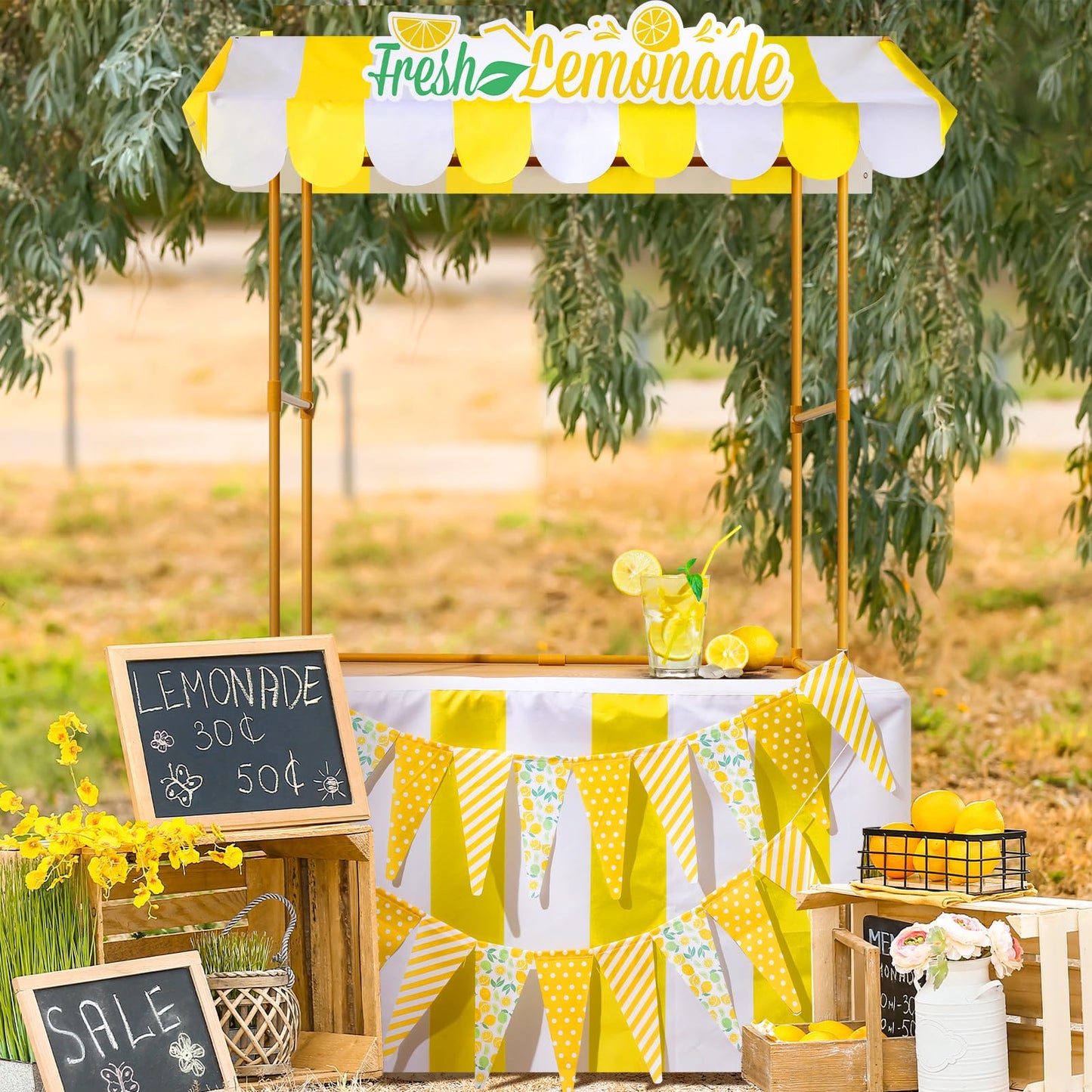Tioncy 6 Pcs Fresh Lemonade Stand Kits Hut Decor Include Shelf, Banner, Roof, Pennant, Table Skirt for Photo Props Outdoor Lemon
