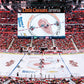 Masterpieces 1000 Piece Sports Jigsaw Puzzle - Nhl Detroit Red Wings Center View Panoramic - 13''X39''