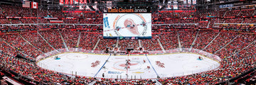 Masterpieces 1000 Piece Sports Jigsaw Puzzle - Nhl Detroit Red Wings Center View Panoramic - 13''X39''