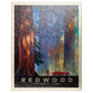 MyPuzzle Vintage 100 Piece Jigsaw Puzzle - Redwood National Park, Earthy Tones, Cardboard, Model 634b844f33f1d9c52869879f_100US