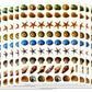 SHELL01 - 10 Sheets Shell and Starfish Decorative Scrapbook, Reflective Stickers for Kids - Size 4 X 5.25 Inch./sheet by Sticker