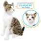Tigerhart Amy The American Shorthair Cat - 14 Inch Stuffed Animal Plush