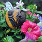 Eugy Bumblebee 3D Puzzle, 24 Piece Eco-Friendly Educational Toy Puzzles For Boys, Girls & Kids Ages 6+