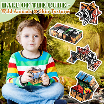 2 In 1 Star Cube Magic Cube Set, Infinity Cube Fidget Toy For Kids, Animal Toys For Ages 8-13, Travel Yoshimoto Cube For 6 7 8 9 10 11 Year-Old Boy Girls Gifts