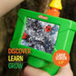 Little Experimenter Borescope Snake Camera - STEM Toy for Kids, Multicolor, Model LE-2520, Educational Gift for Ages 4-6