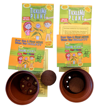 Tickleme Plant Birthday Party Favors (Pack Of 2) Leaves Fold When You Tickle It, Minutes Later The Leaves Re-Open - Fun Interact
