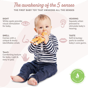Sophie la girafe Fanfan The Fawn Teether - Natural Rubber, Designed for Teething Babies, Easy to Clean, Model 616341