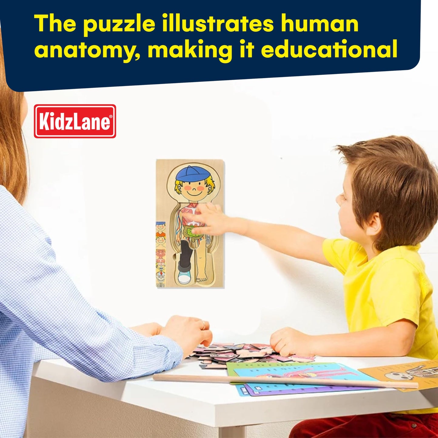 Kidzlane Wooden Anatomy Puzzle - 29 Piece My Body Puzzle for Kids Ages 3+ - Educational Skeleton Toy - KL-2308