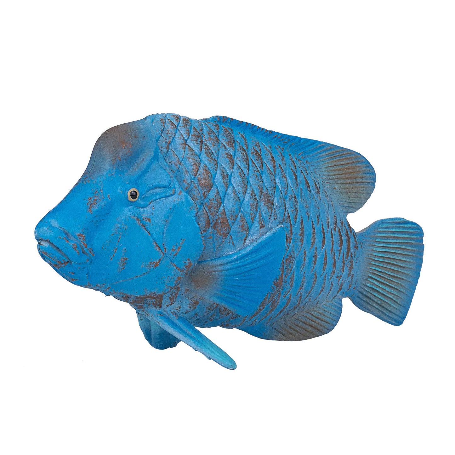 MOJO Blue Grouper Hand Painted Toy Figurine - Realistic Wildlife Model - Non-Phthalate PVC - Mixed Color - Model 387356