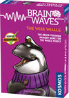 Brainwaves: The Wise Whale - A Kosmos Game from Thames & Kosmos | Fun, Scientist Approved, Family-Friendly Games to Sharpen Your