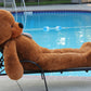 Joyfay Giant Teddy Bear 78" Soft Plush Toy - Dark Brown Valentine’s Gift