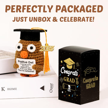 2025 Graduation Gifts, Positive Owl with Cap, Emotional Support Crochet, Cute College & High School Grad Gift for Her Him Friend