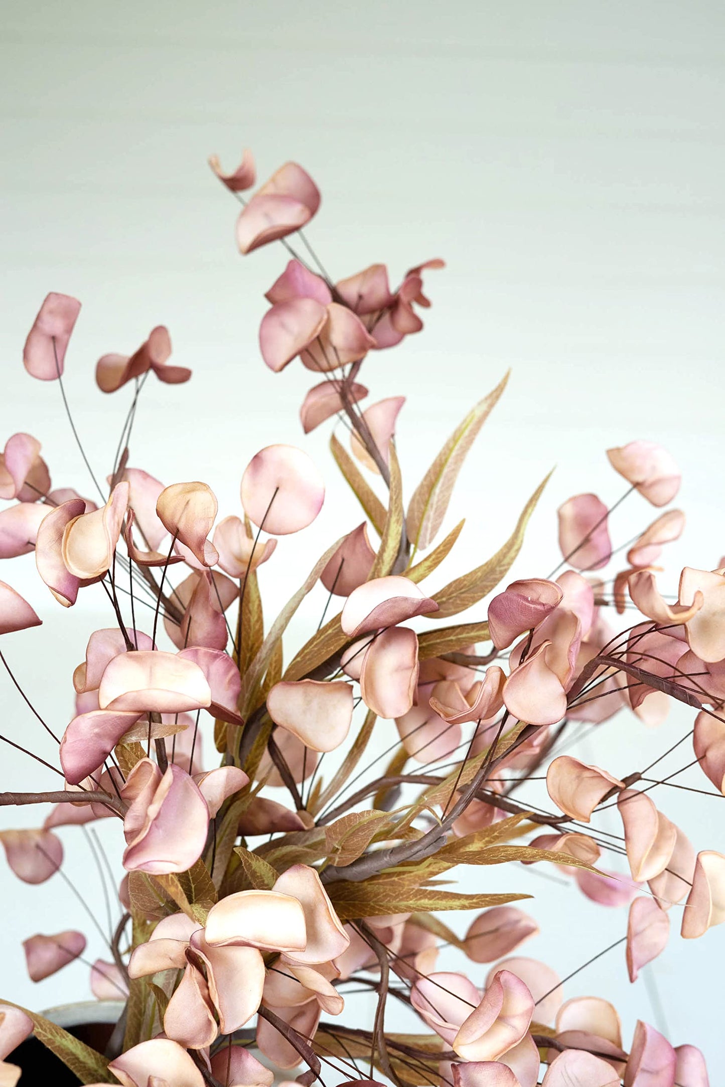 Botanica #3430