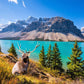 Jigsaw Puzzles for mature-themeds 1000 Piece Puzzle for mature-themeds 1000 Pieces Puzzle 1000 Pieces-Canadian Rocky Mountain Lake