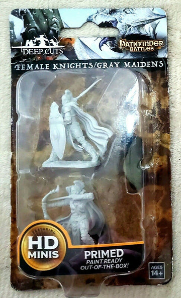 Wizkids Pathfinder Deep Cuts Unpainted Miniatures: Wave 6: Female Knights/Gray Maidens