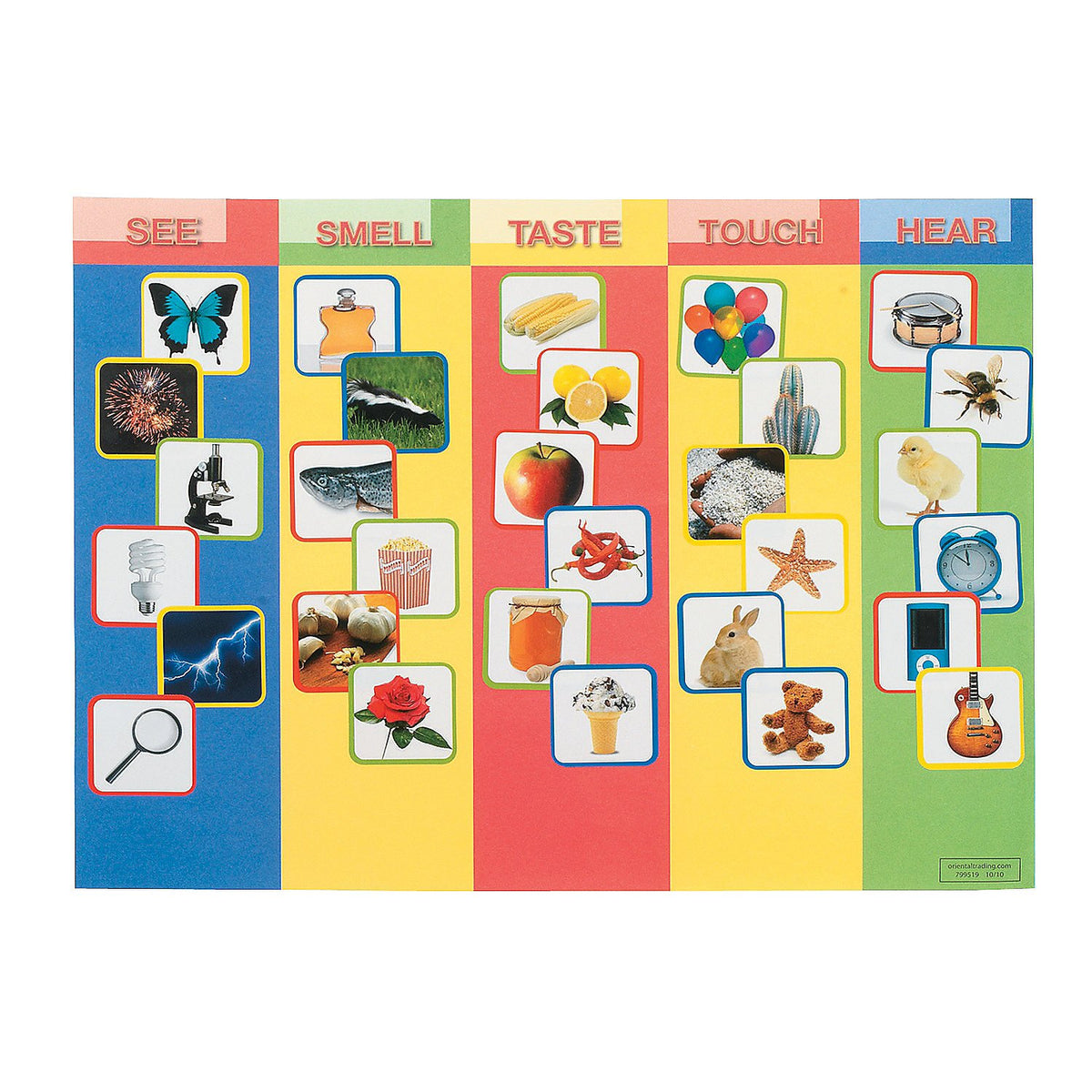 Five Fun Senses Make A Sticker  12 Pieces  Educational And Learning Activities For Kids