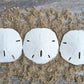 Sand Dollar - Real Sand Dollars - 2 1/2 to 3 (3pk) - Sand Dollar Shells - Wedding Seashell Craft - Sand Dollars for Crafts - San