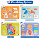Freebear Montessori Busy Book - Human Body Anatomy for Toddlers, Sensory Learning Activities, Gifts for Kids 4-7 Years, Medium Size