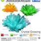 Smithsonian Crystal Growing Gem Like
