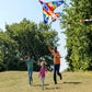 SNJOYFUL Air Kites for Kids and mature-themed  Huge Kite Easy to Fly  59 Beach Travel Beginner Kites for Kids Ages 4-8  Comes with 118 Colourful Tail