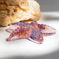 H&D HYALINE & DORA 2.8 Glass Starfish Figurine Handmade Blown Glass Starfish Figurine Tiny Glass Sea Animals Ornament for Aquarium Decor(Pink)