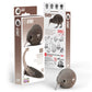 Eugy Kiwi Bird 3D Puzzle - 24 Piece Eco-Friendly Educational Toy Puzzle For Boys, Girls & Kids Ages 6+