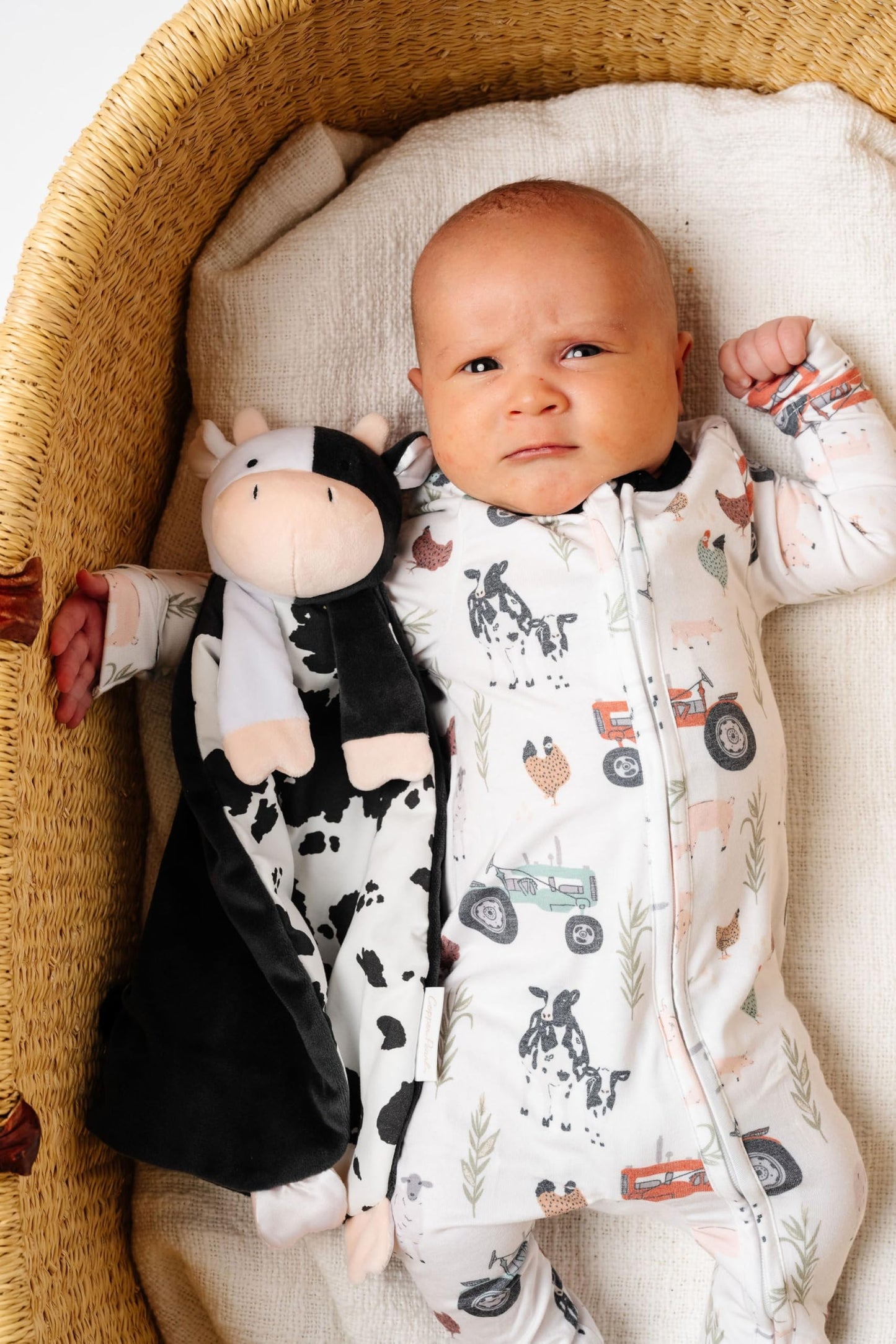 Copper Pearl Character Lovey Plush: Soft Bunny Plush Baby Blankets, Baby Lovey And Stuffed Bunny For Companionship And Entertain