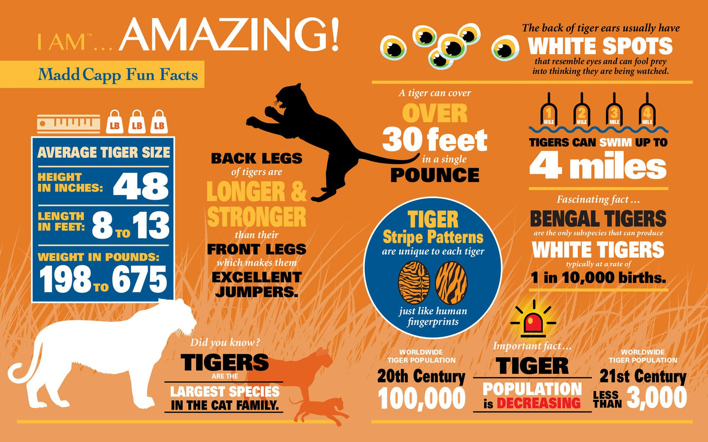 Madd Capp Puzzles - I Am Tiger - 1000 Pieces - Animal Shaped Jigsaw Puzzle, Multi
