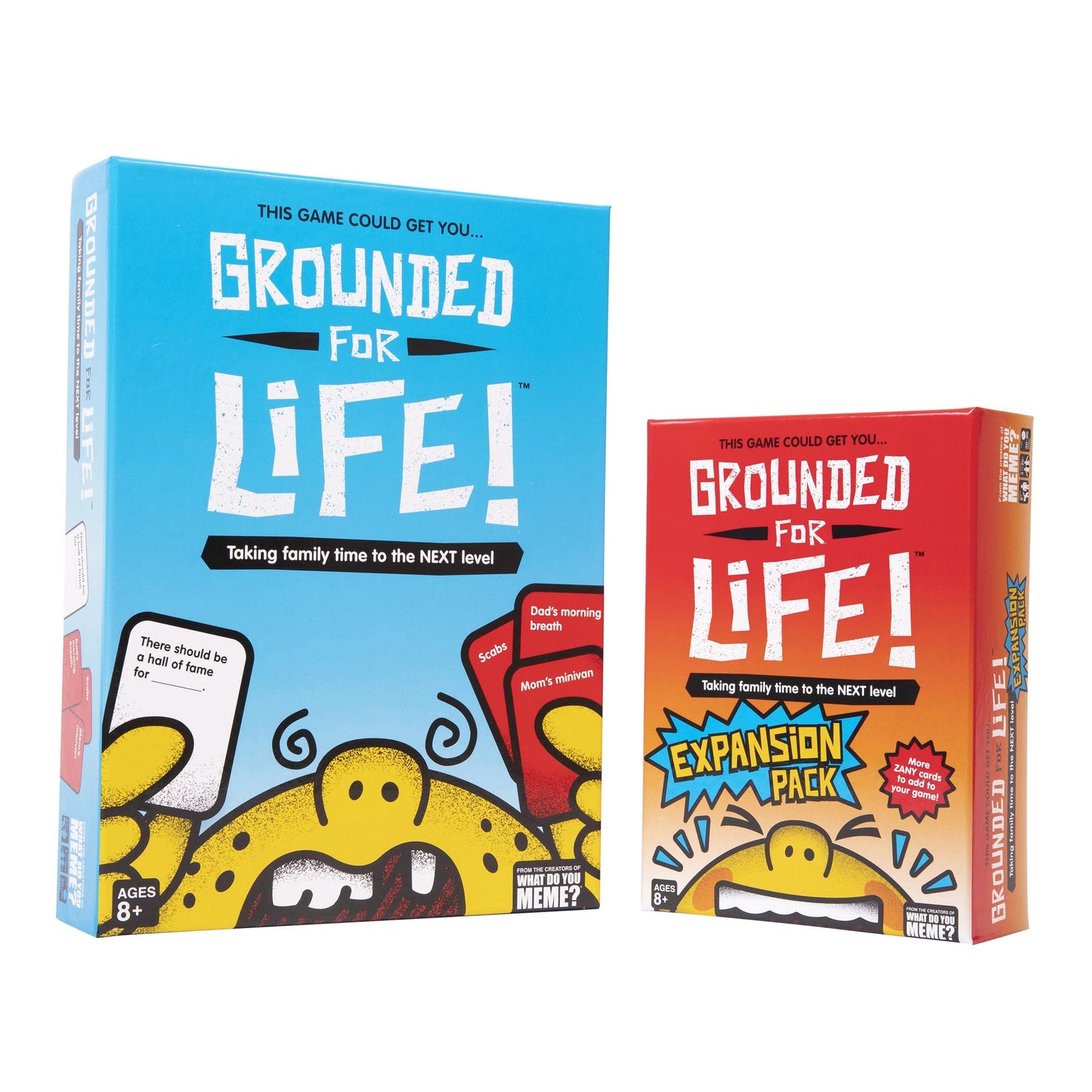 WHAT DO YOU MEME? Grounded for Life Expansion Pack - Kid Game, Medium Size, Multicolor, Model GFLEXP314, Ages 8+