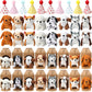 Motionchic 20 Pcs Mini Plush Toy Stuffed Animals Stuffed dogs Set with 20 Birthday Hats 20 Kraft Paper Boxes Adopt Pet Gift for mature-themed Animal Theme Birthday Party(Cute)